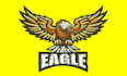 do outstanding embroidery digitizing into dst, emb in 1 hour