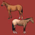 draw detail animal illustration