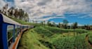 provide sri lanka 10 days tour package