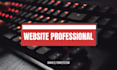 build wordpress website professional