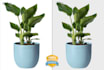 background removal for amazon product listing