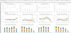create professional excel dashboard, pivot table and charts