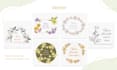create professional floral frame illustration design
