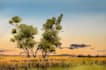 handrawn watercolor landscape on paper