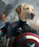 create custom royal pet portrait or superhero pet for you