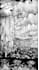draw a detailed black and white engraving style illustration