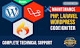 create professional website using PHP mysql laravel, vue js