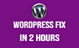 customize fix bugs and errors your wordpress website