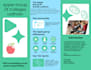 design handbills, pamphlet, digital, and business flyer