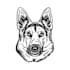 draw your pet in black and white line art illustration