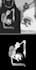 design modern professional monster logo