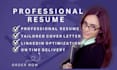 write a professional resume maker and tech CV writing service within 6 hours