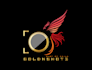 create a perfect custom 2d, 3d logo animation intro outro