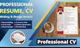 create a professional CV designs