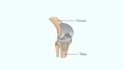 create personalized high quality medical illustrations