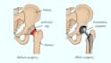 create personalized high quality medical illustrations