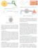 write SEO optimized data science articles, blog posts