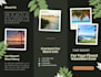 design minimalist brochures trifold flyers and video for you