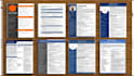 provide executive resume writing, resume design and cover letter service