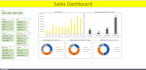 build dynamic excel dashboard and do financial analysis