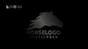 create video ads, logo intro and etc