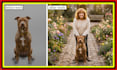 edit wedding images add watermark in photoshop remove people,object from picture