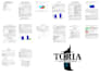 create an expert financial ratio report for you and rate your financial position