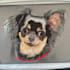 digitize your image into embroidery file