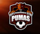design modern professional football logo