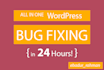 fix any wordpress bug in 24 hours