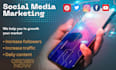 be your social media marketing manager SMM