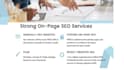 handle your websites onpage SEO and technical optimization fixing all errors