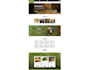 build wordpress website with bricks elementor breakdance builder