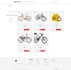 develop custom web application