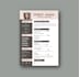 do elegant cv, cover letter or resume design and writing