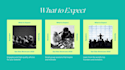 create fully program responsive website using php mysql javascript CSS html