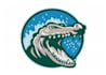 design high quality crocodile logo in high definition