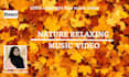 create full HD nature relaxing music video