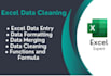 do any type of excel, power point, word, data entry as per customer needs