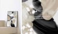 create elegant abstract wall art in oil painting style