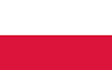 translate english to polish and vice versa