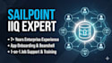 your sailpoint identityiq developer and iam consultant