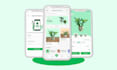 create UI UX designs for website, mobile app and dashboard