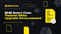 how to choose best bnb chain marketing strategy