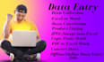 do excel data entry and copy paste job