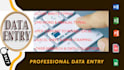 accurate data entry, copy paste, web research, PDF to excel