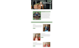 design, redesign portfolio or personal website with wordpress