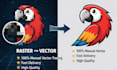 do professional vector tracing, raster to vector conversion