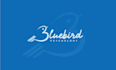 create a professional logo design for your business