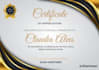 design eye catching, fascinating professional certificates